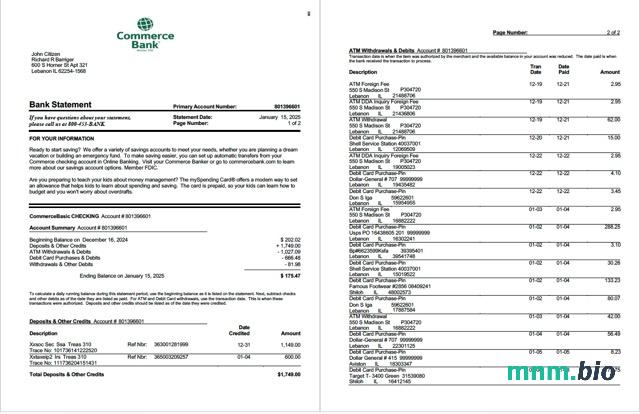 USA Commerce Bank szablon w formacie excel pdf